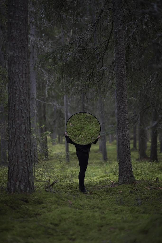 unnamed 3 ta naturen inn i hjemmet